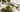 Enthält Matcha Koffein als Featured Image