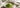 Enthält Matcha Koffein als Featured Image