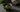 Matcha Keiko als Featured Image