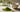 Guter Matcha Pulver als Featured Image