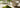 Guter Matcha Pulver als Featured Image