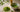 Dallmayr Matcha als Featured Image