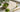 Matcha Pulver mit Inhaltsstoff Notizen