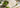 Matcha Pulver mit Inhaltsstoff Notizen