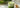 Cremiger Matcha Latte Tea im klaren Glas
