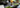 Matcha Herkunft als Featured Image