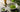 Matcha Pulver Testsieger als Featured Image