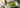Matcha Pulver Testsieger als Featured Image