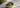 Matcha Premium als Featured Image