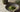 Japan Grüner Tee Matcha als Featured Image