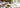 Matcha als leichter Begleiter einer Abnehm-Routine
