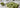 Matcha Cookies Rezept als Featured Image