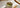 Ruhiges Matcha Tea Ritual mit Schale und Chasen