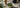 Welcher Matcha Ist Der Beste als Featured Image