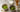 Ceremonial und Culinary Grade Matcha im Vergleich