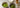 Ceremonial und Culinary Grade Matcha im Vergleich