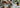 Zubereitung Matcha Tee Ohne Besen als Featured Image