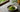 Matcha Farben als Featured Image
