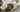 Für Was Ist Matcha Gut als Featured Image