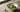 Matcha Pulver Wo Kaufen als Featured Image