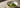 Matcha Pulver Wo Kaufen als Featured Image