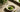 Biozisch Matcha als Featured Image
