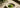 Biozisch Matcha als Featured Image