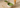 Ruhiger Matcha-Moment mit cremiger Schale statt bitterem Geschmack