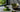 Matcha Corner als Featured Image