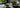 Matcha Corner als Featured Image
