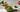 Matcha Sirup als Featured Image