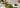 Matcha Sirup als Featured Image