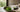 Beste Matcha Pulver als Featured Image