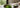 Beste Matcha Pulver als Featured Image