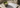 Matcha bei Diabetes Typ 2 mit abstrakter Blutzuckerkurve realistisch eingeordnet